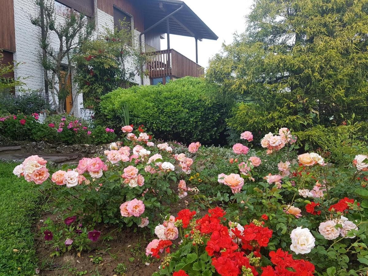 B&B Fontanella Curno Ngoại thất bức ảnh