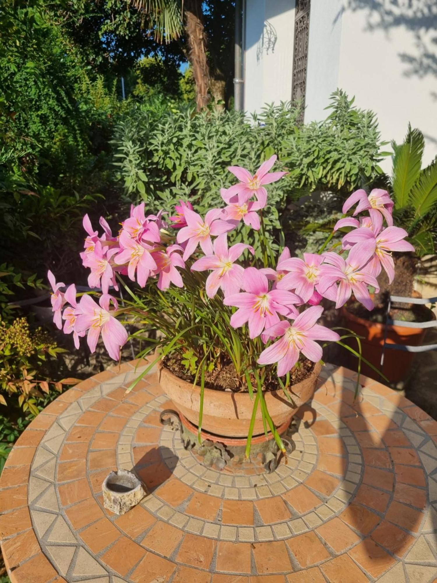 B&B Fontanella Curno Ngoại thất bức ảnh