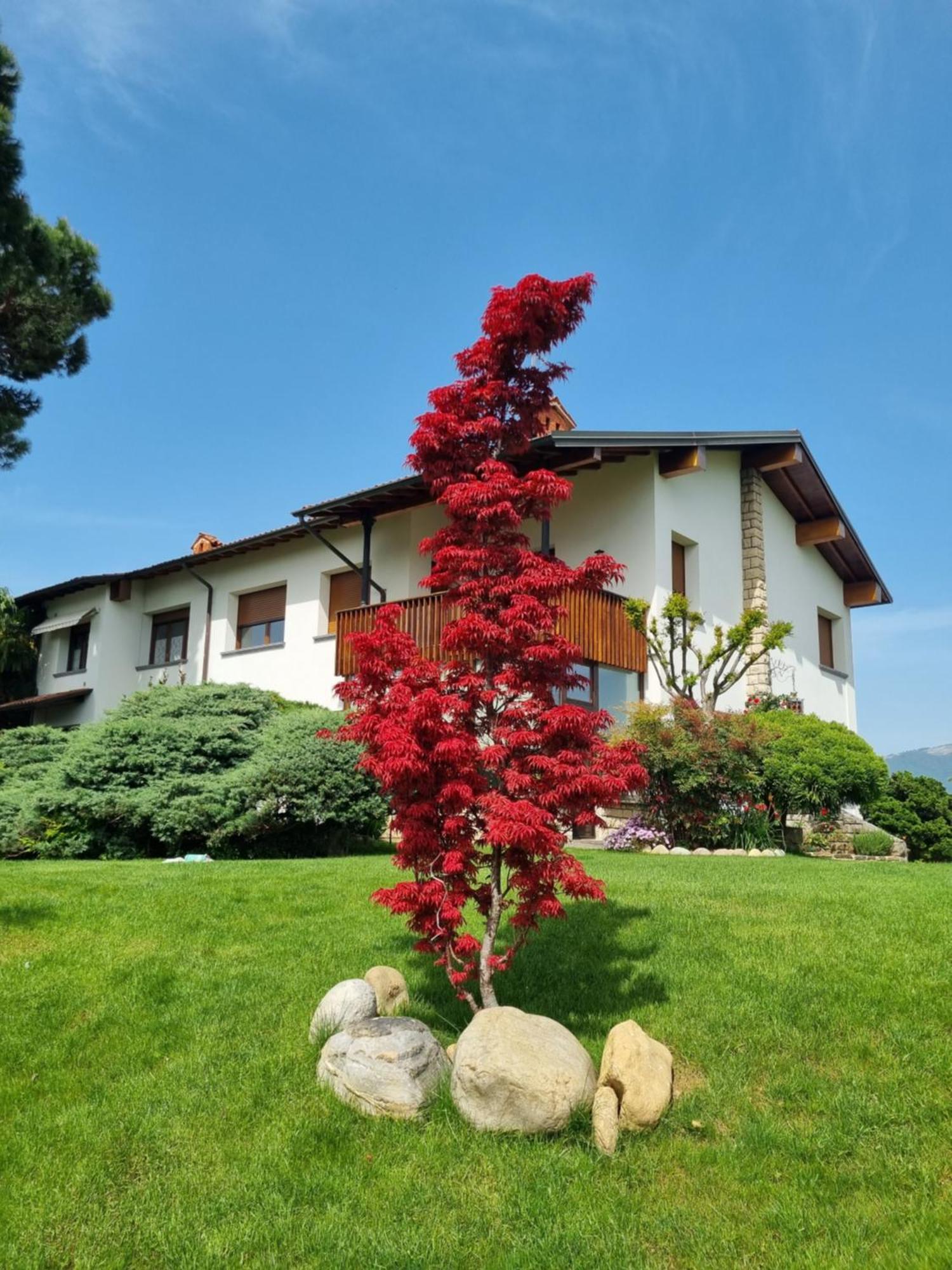 B&B Fontanella Curno Ngoại thất bức ảnh